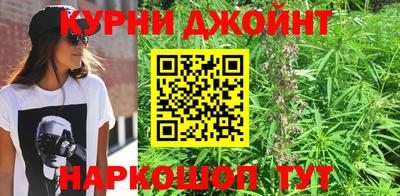 гашик Шебекино
