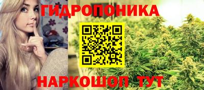 гашик Шебекино