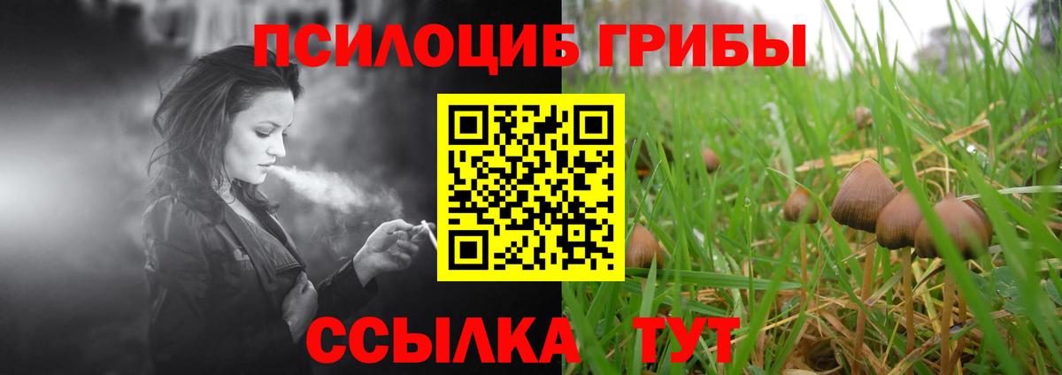 Борисоглебск  Галлюциногенные грибы ЛСД  Вход с VPN 